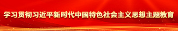 污污操鸡视频看看学习贯彻习近平新时代中国特色社会主义思想主题教育